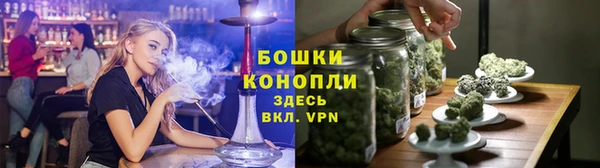 молекула духа Мегион