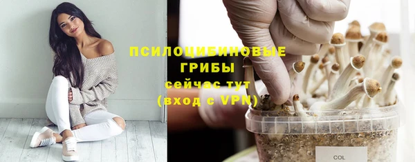 mix Воткинск