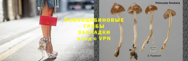 стафф Михайлов