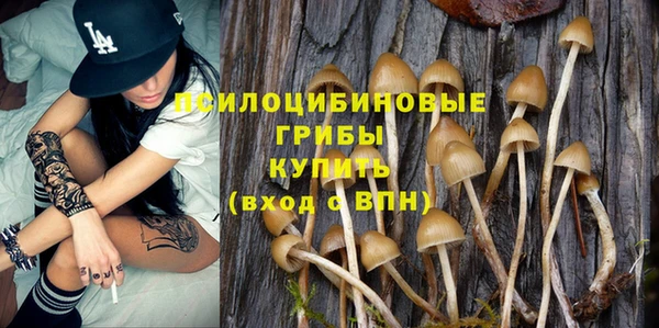 ГАЛЛЮЦИНОГЕННЫЕ ГРИБЫ Михайловск