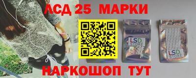 СК Бийск
