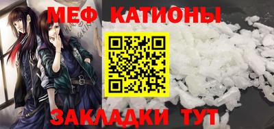 СК Бийск