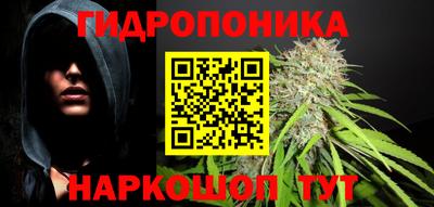 спайс Берёзовский