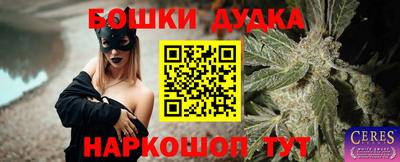 СК Бийск
