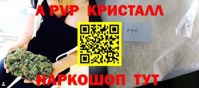 СК Бийск