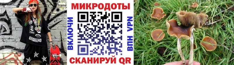 Псилоцибиновые грибы мухоморы купить наркоту Ишимбай