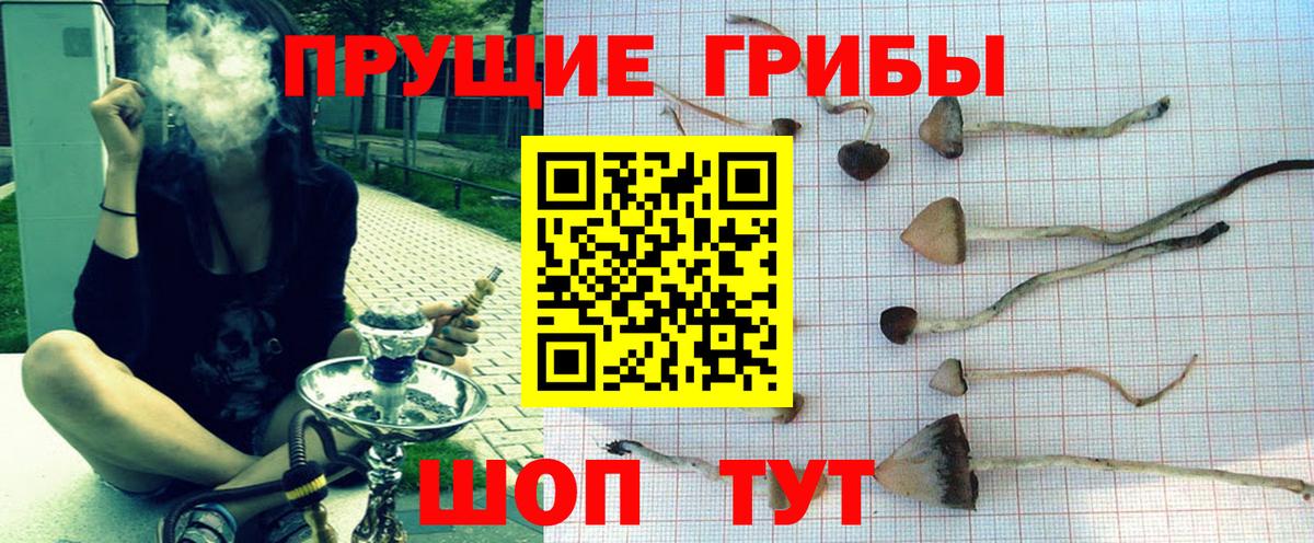 Ишимбай  Галлюциногенные грибы GOLDEN TEACHER  Галлюциногенные грибы мицелий  Вход с VPN 
