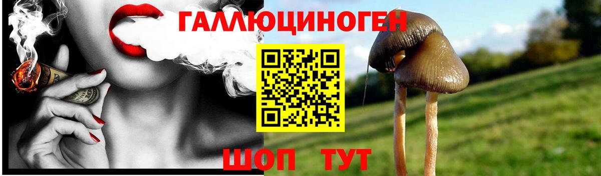 Галлюциногенные грибы Cubensis  Галлюциногенные грибы мухоморы  Ишимбай 